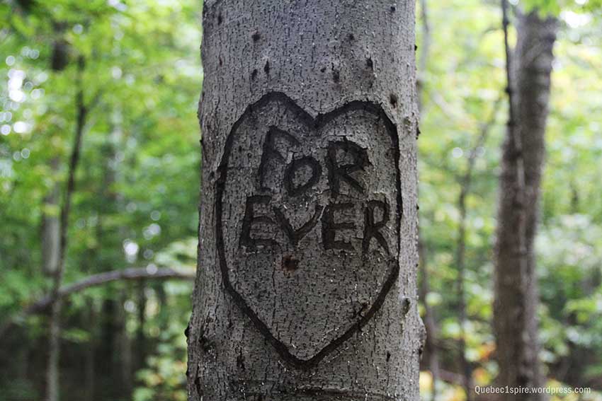 coeur-forever-qc1spire_3816w